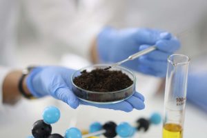 Soil in chemical laboratory