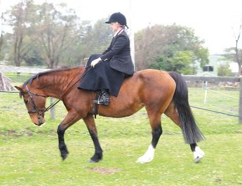 Tynong equestrienne Kate Fremlin rides side saddle on her mare It’s Possible