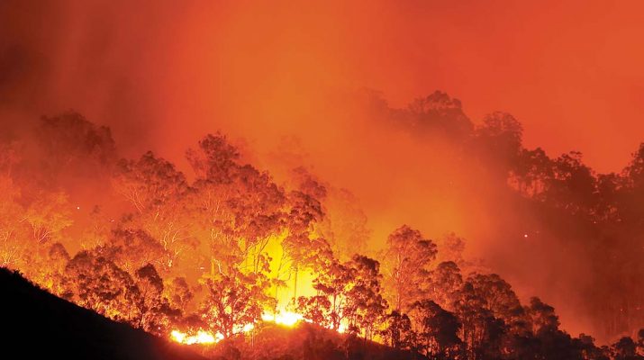 Dr Kevin Tolhurst AM says a local approach is needed to make bushfire management successful