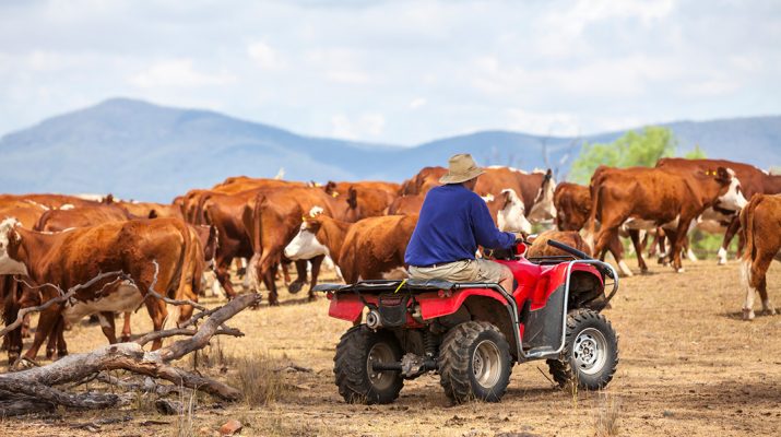 Australian farmer on farm quad