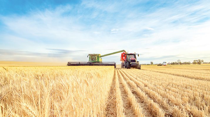 Grain exports increased in 2022-2023, due to high prices and favourable growing conditions. Photo: File
